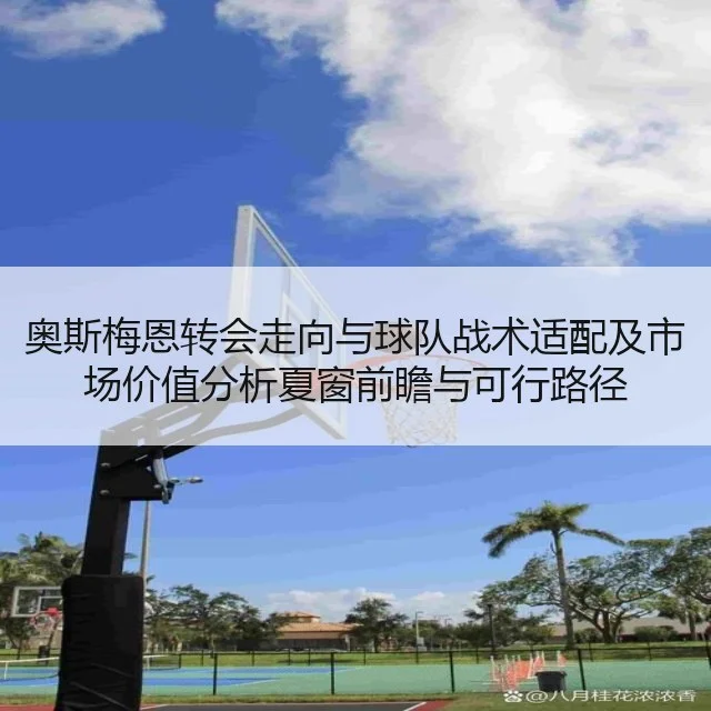 奥斯梅恩转会走向与球队战术适配及市场价值分析夏窗前瞻与可行路径